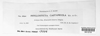 Phyllosticta castanicola image